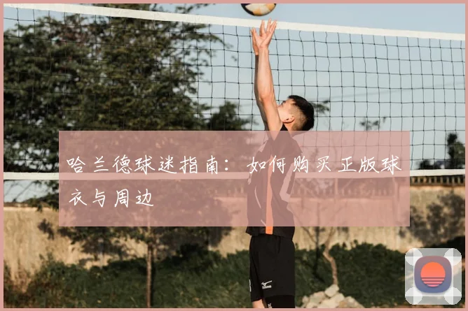 哈兰德球迷指南：如何购买正版球衣与周边