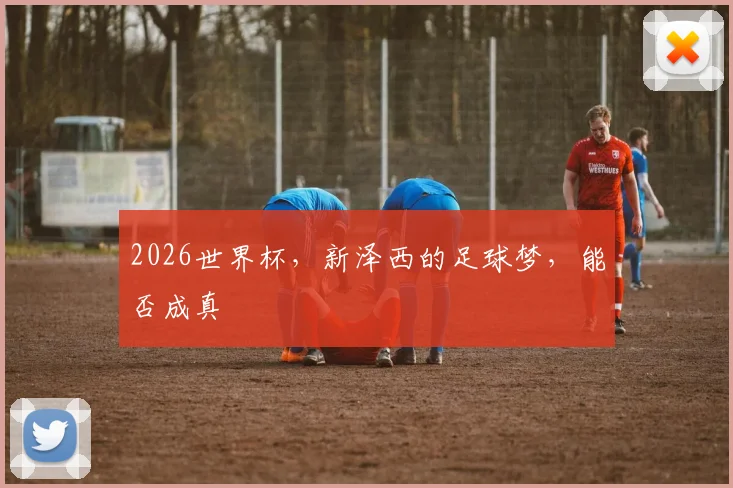 2026世界杯，新泽西的足球梦，能否成真