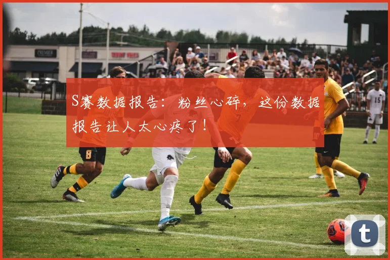 S赛数据报告：粉丝心碎，这份数据报告让人太心疼了！