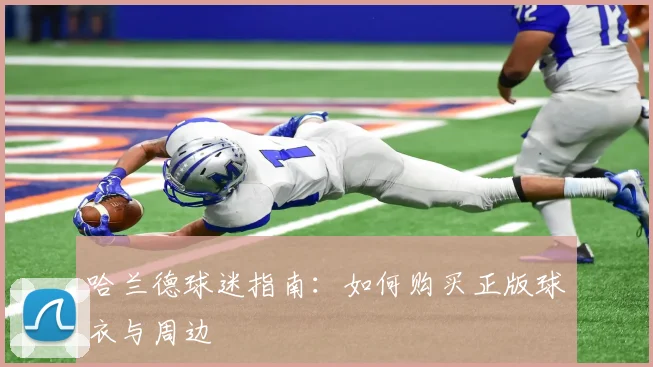 哈兰德球迷指南：如何购买正版球衣与周边